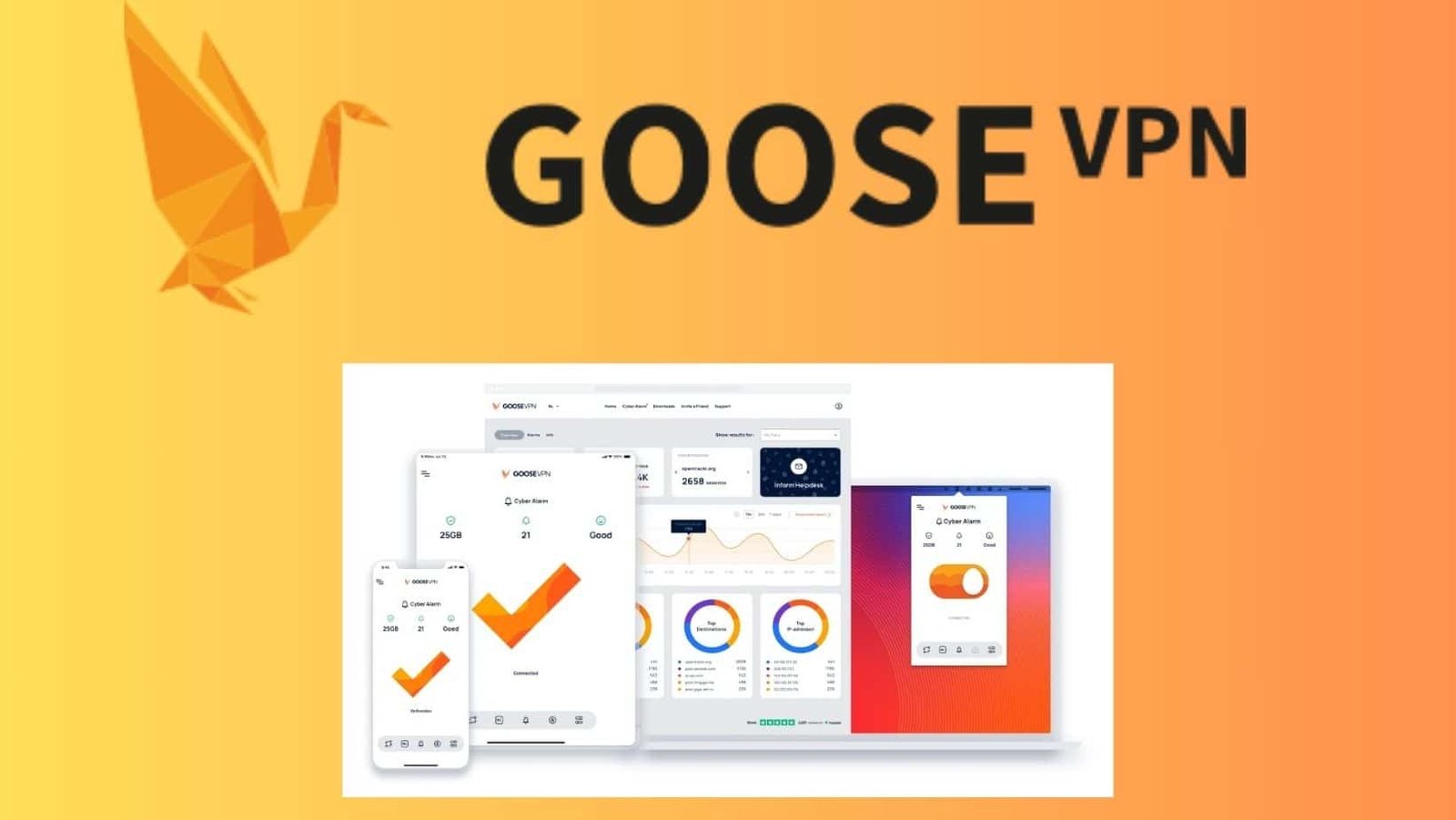 GooseVPN Review: Unveiling the Performance, Features, and Security of GooseVPN